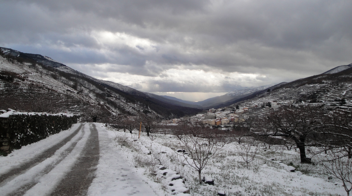 Valle del Jerte, un paisaje cultivado. Paisaje invernal.