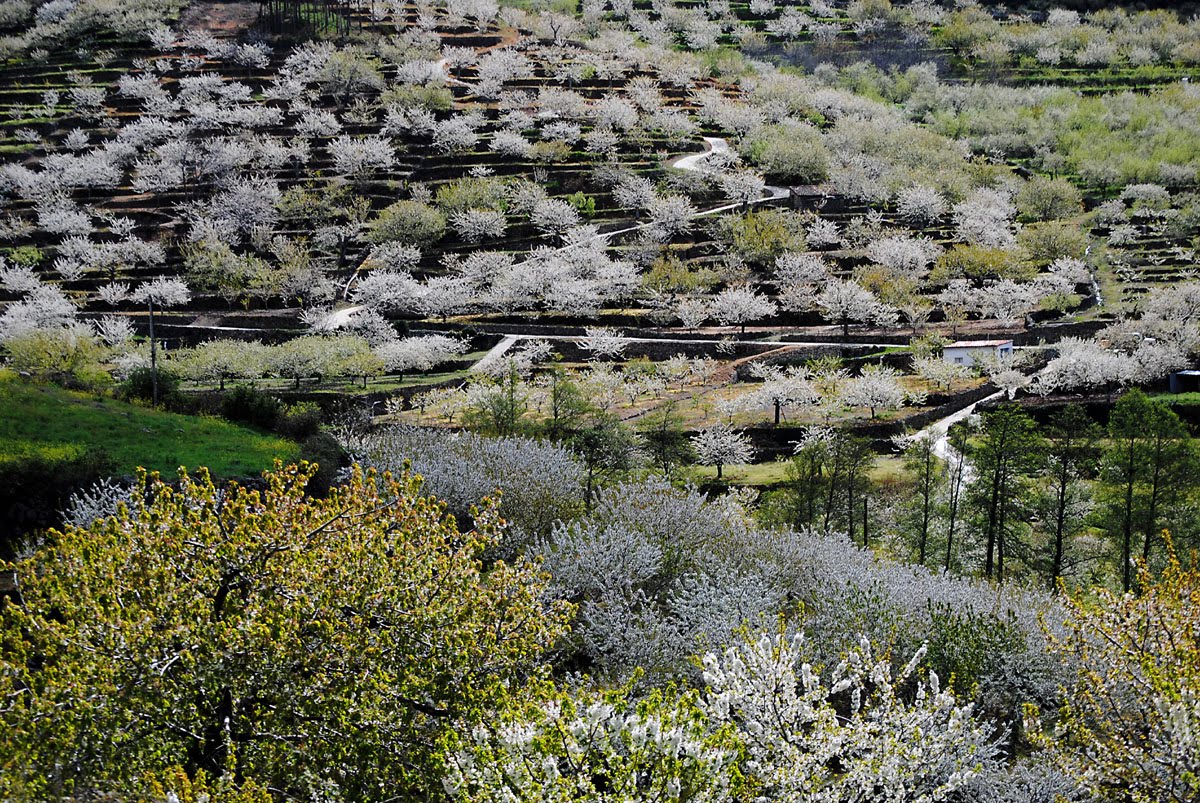 El Valle del Jerte entre las 10 mejores zonas de naturaleza de España