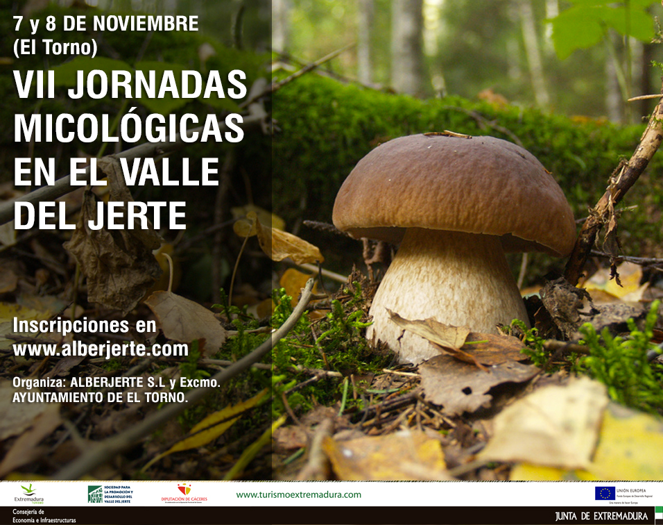 VII Jornadas Micológicas en el Valle del Jerte (7 y 8 de noviembre)
