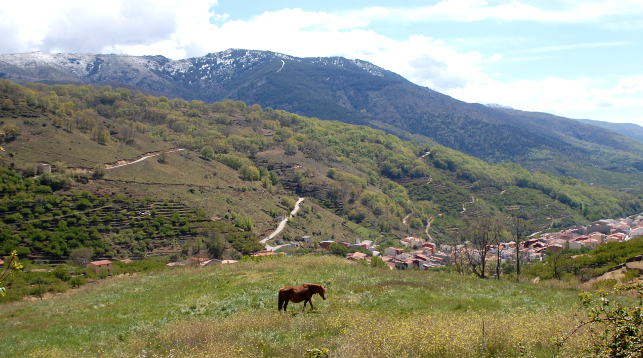 National Geographic elige al Valle del Jerte como una de "Las 18 Maravillas Naturales de España"