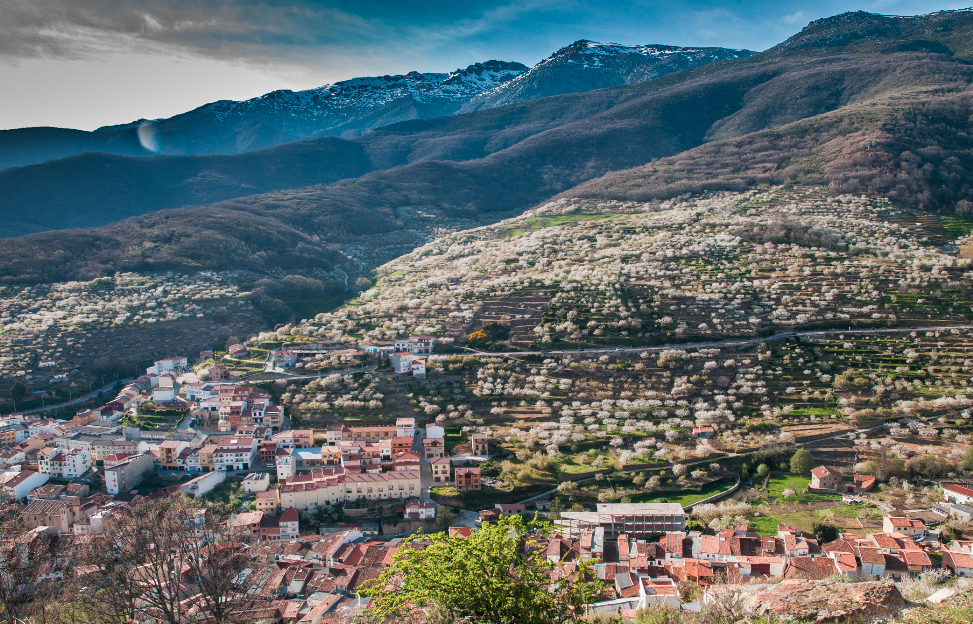 Valle del Jerte, un paisaje cultivado. Panorámica primaveral