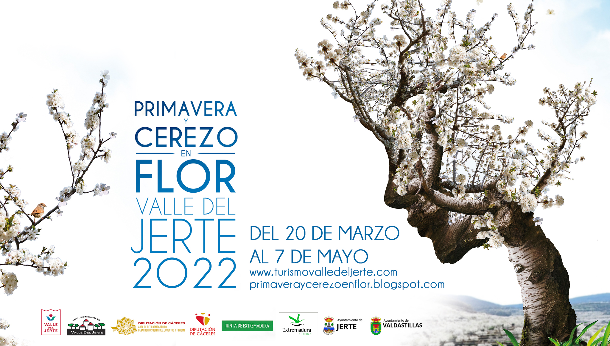 Primavera y Cerezo en Flor 2022. Valle del Jerte